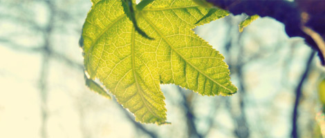 正品货源可靠的云呼轰炸机