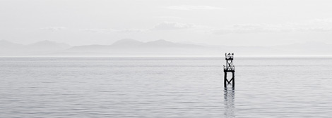 网络电话在线发送