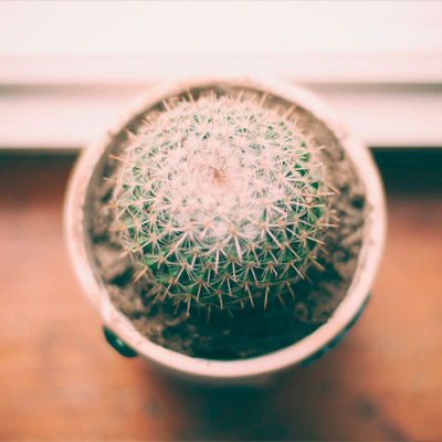 电话压力测试器