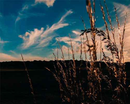 轰炸手机号码软件